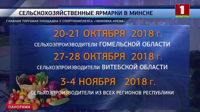 В эти выходные у Дворца Спорта пройдет осенняя ярмарка. Панорама смотреть онлайн