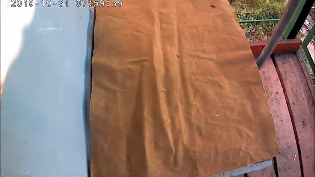 ШОК!!!!Исчезли пчелы в октябре.Определена причина ослабления пчелиных семей. смотреть онлайн