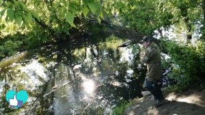 Как ловить рыбу косынкой на реке. (Рыбалка косынкой №2).