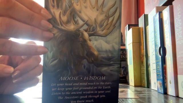 Today’s tarot is from my Spirit of the Animals Oracle deck ❤️ смотреть онлайн