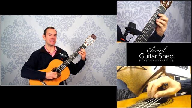 Learn to Play Sor's Etude in B minor for Guitar (op.35 no.22) смотреть онлайн