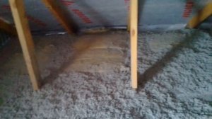 ЭКОВАТА 2 ГОДА СПУСТЯ / ЭКОВАТА ПРИ минус 30ºС / ЭКОВАТА: МИНУСЫ И ПЛЮСЫ /Массовый Самострой