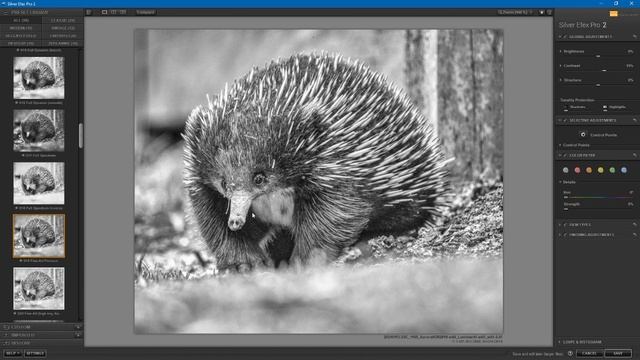 Silver Efex Pro 2 смотреть онлайн