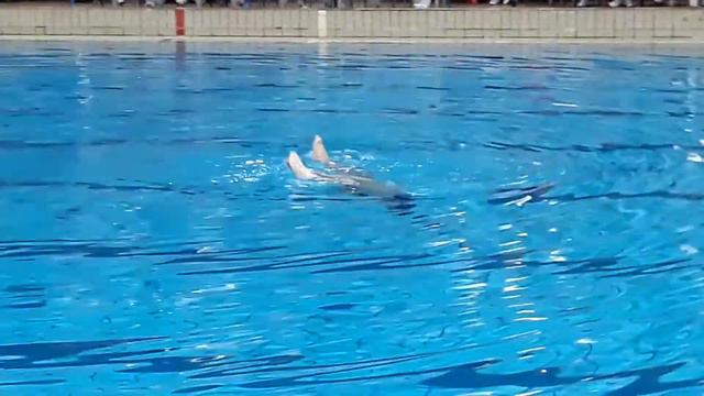 CLUB CALIPSO DUO LIBRE INFANTIL MARIOLA Y SACHA 10 06 2018 смотреть онлайн