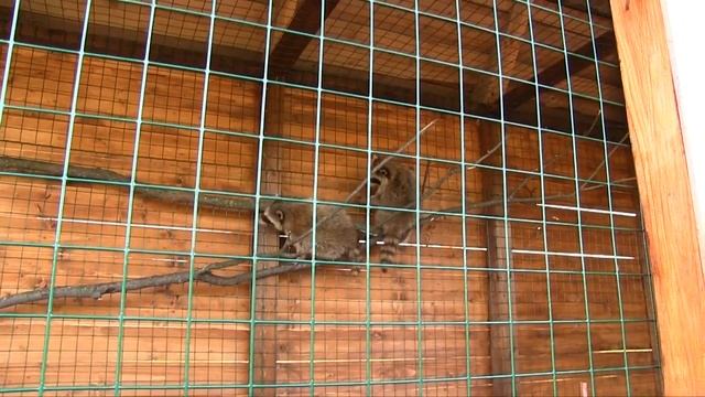 Кудыкина гора приглашает отдохнуть смотреть онлайн