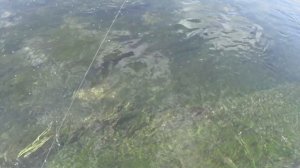 Пермский край. Красивые виды  Ловля хариуса на кораблик.