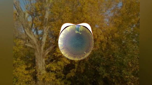 Форум белая ночь (PHONK-EDITION by proof nation смотреть онлайн