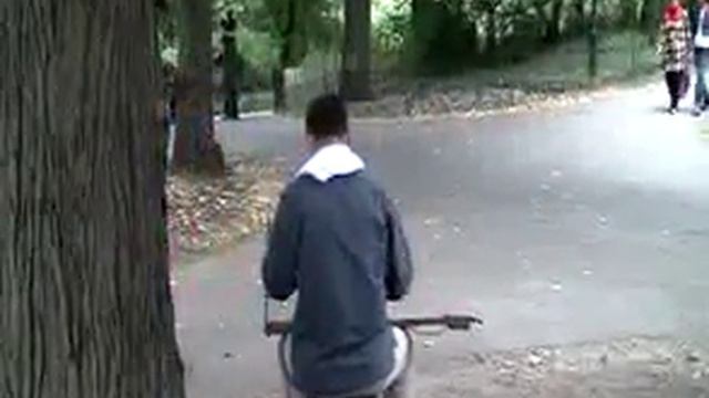 Mr. Lu Zong Li in Central Park смотреть онлайн