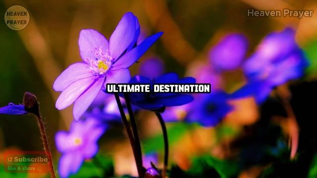 Psalm 23 Psalm 91 Psalm 70: The 3 Most Powerful Prayers in The Bible смотреть онлайн