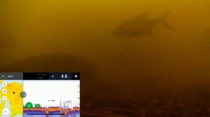 Проверка показаний эхолота Deeper CHIRP+ Правду ли показывает эхолот, что в этом месте много рыбы?