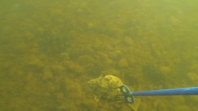 Открытие сезона подводной охоты 2018 / Opening of the underwater hunting season 2018 смотреть онлайн