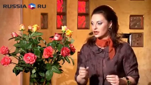 Законы цвета