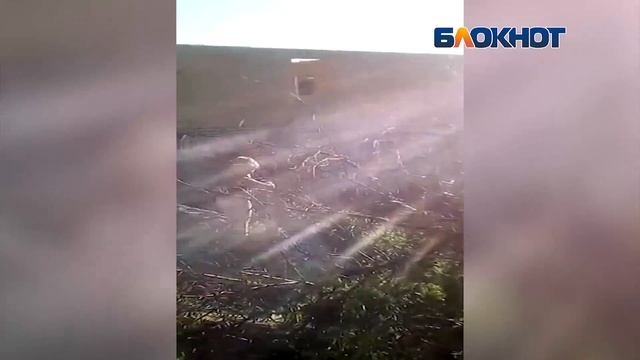 Новороссийск. 10.08.2018. Незаконно возобновлено строительство смотреть онлайн