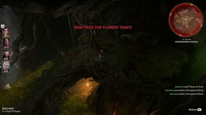 Baldurs Gate 3 - How Pass Poison Clouds and Get Rid of Noxious Fumes