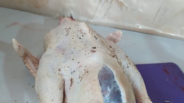 Вскрытие покажет почему куры не несутся. смотреть онлайн