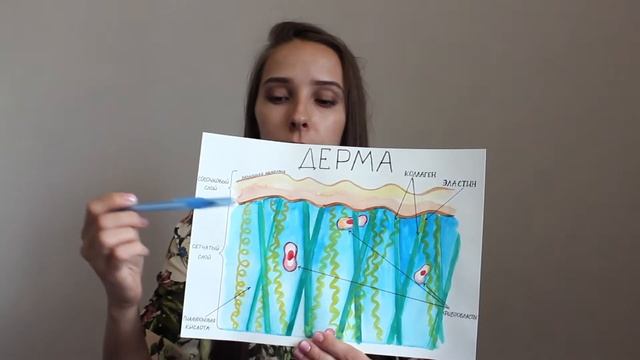 СТРОЕНИЕ КОЖИ смотреть онлайн