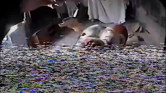 hi8 test смотреть онлайн