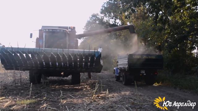 Уборка подсолнечника Рими смотреть онлайн