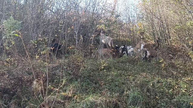 Репутация или бизнес. смотреть онлайн