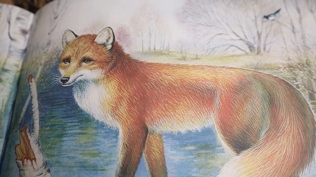 Как мужик зада лишился (русская народная сказка) смотреть онлайн