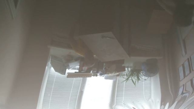 Натяжные потолки г.Орск т 8(3537)42-47-47 смотреть онлайн