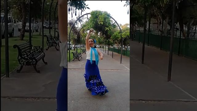 Alegría Verónica, curso Presencial смотреть онлайн