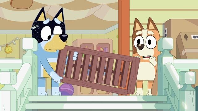 Flat Pack ? | Bluey | @Disney Junior смотреть онлайн