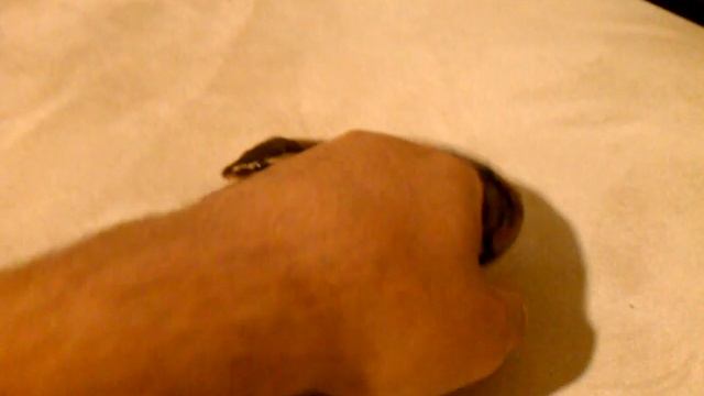 Ball python home from surgery смотреть онлайн