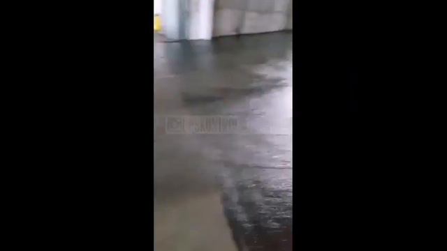 Во Владивостоке затопило крупнейший торговый центр смотреть онлайн