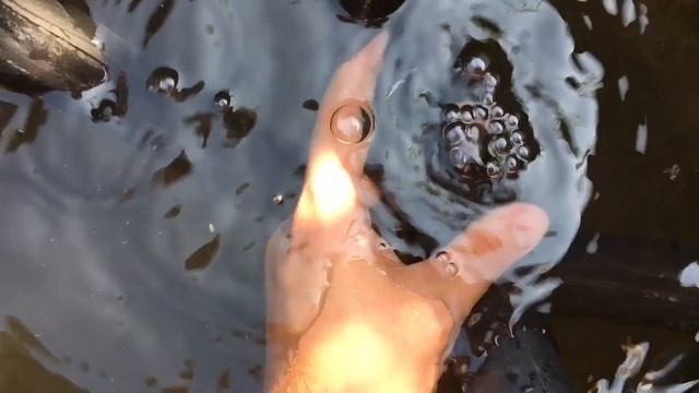 Как заклеить камеру от велосипеда в домашних условиях 11.09.2017 смотреть онлайн