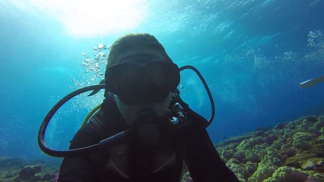 Diving Komodo - Mantas and Dragons, Indonesia смотреть онлайн