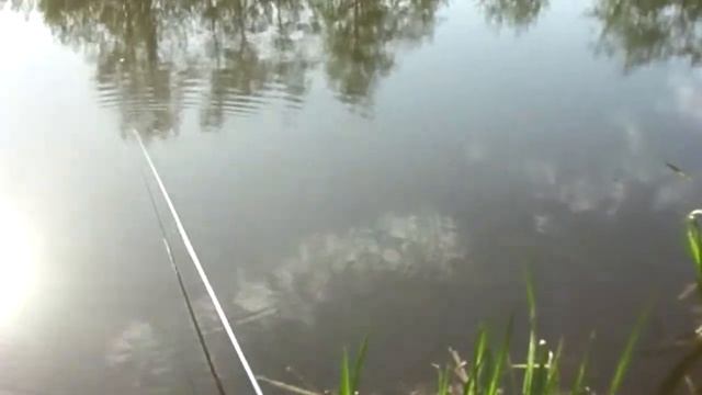 РЫБАЛКА 18 МАЯ НЕ КЛЮЁТ смотреть онлайн