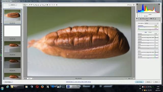Szybka edycja plików RAW w Photoshop cs6 camera raw Tutorial смотреть онлайн