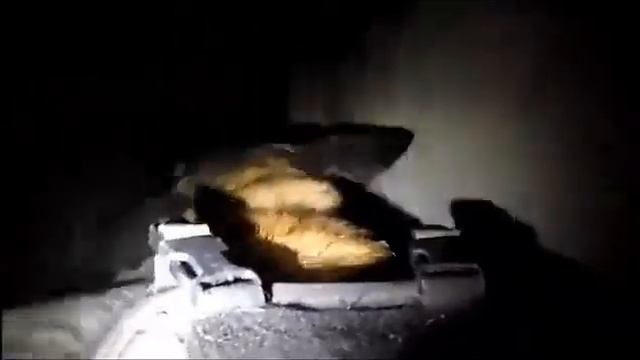 IDF dogs in Hamas tunnels смотреть онлайн