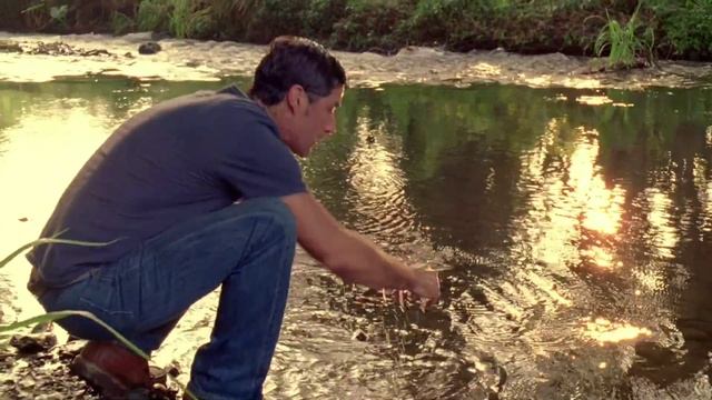 The Beauty Of Lost смотреть онлайн