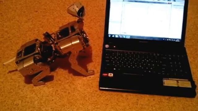 Прямое управление сидящим котом через Bluetooth. смотреть онлайн