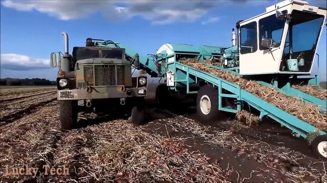 Техника и Технологии Сельского Хозяйства #154 Lucky Tech смотреть онлайн