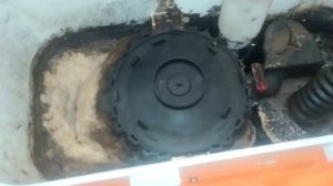 Чистка кухонного насоса SaniVite-3