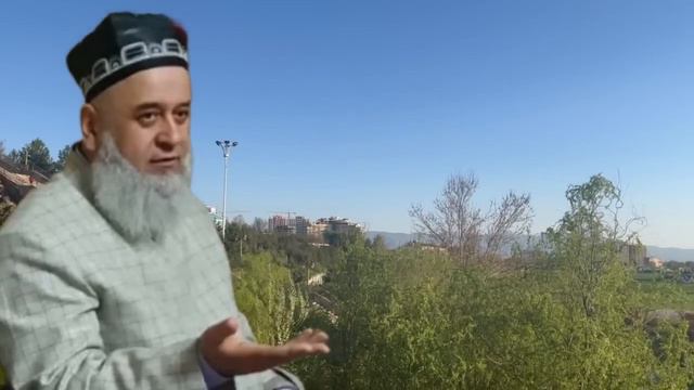 ХОЧИ МИРЗО САВОЛУ ЧАВОБ 2024 ЯНВАРЬ
