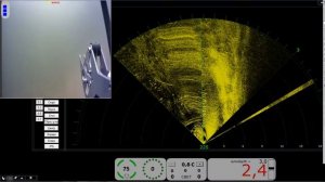 Гидролокатор "Дельфин"  ROV sonar "Dolpfin"