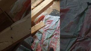 Аккумуляторная болгарка с диском по дереву и гвозди не мешают!?