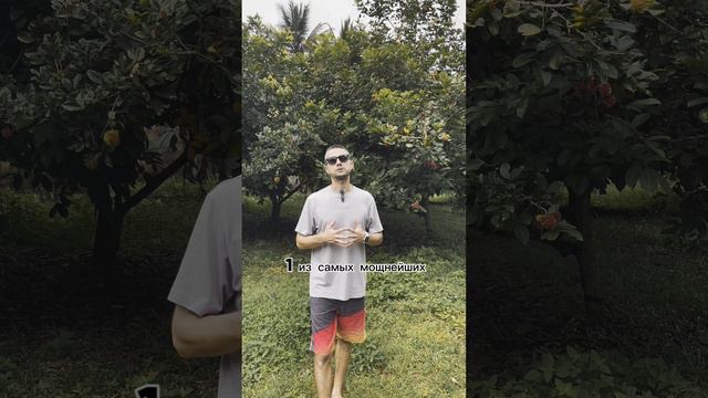 Все практики ТОЛЬКО для того, что бы начали ЗАМЕЧАТЬ жизнь! смотреть онлайн