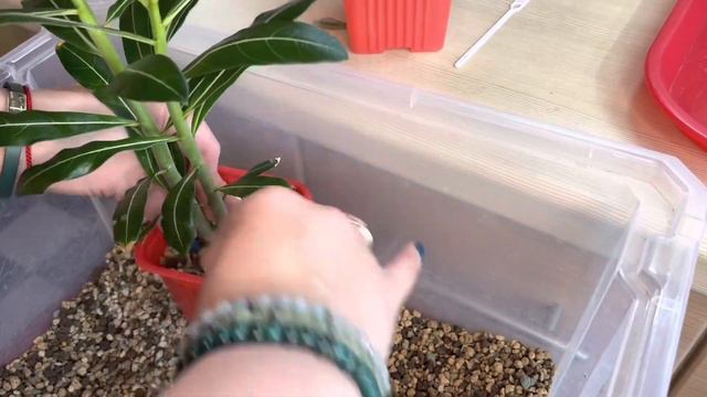 11.05.23 Подведём итоги марафона за пол года ! 🙋♀️ смотреть онлайн