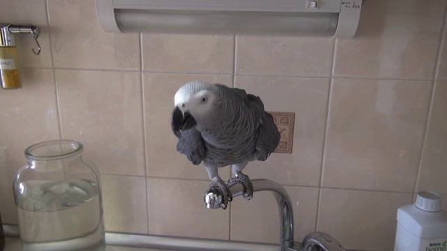 Жако Кирюше 4 года смотреть онлайн