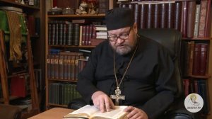 Евангелие от Матфея. Глава 23. Протоиерей Олег Стеняев. Толкование Библии. Толко