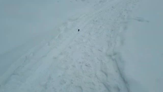 Белокуриха. Пробный поход до санатория Сибирь. 1,5 км. смотреть онлайн