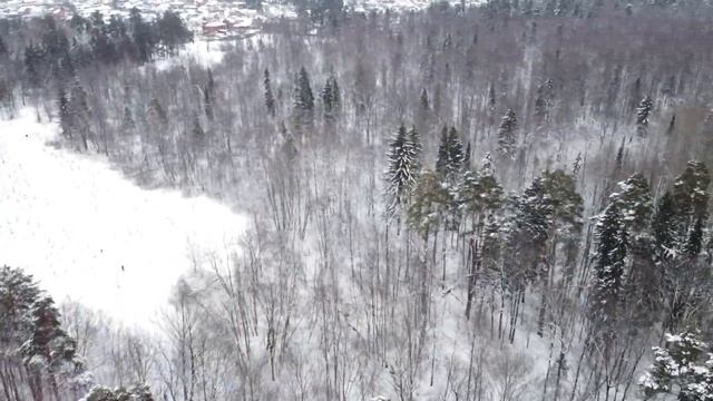 DJI MAVIC mini in the winter 2020 смотреть онлайн