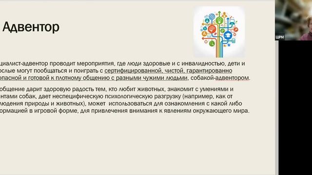 Критерии качества в канистерапии Мальцева М.Н. смотреть онлайн