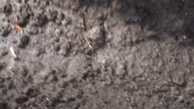 Посадка огурцов смотреть онлайн