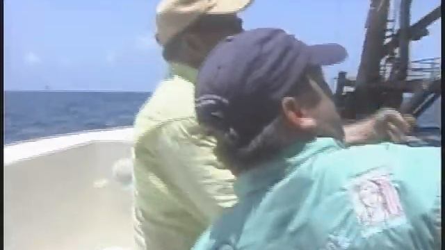 HTV's Sportsman's Paradise - Offshore Fishing 2, Amberjack & Grouper смотреть онлайн